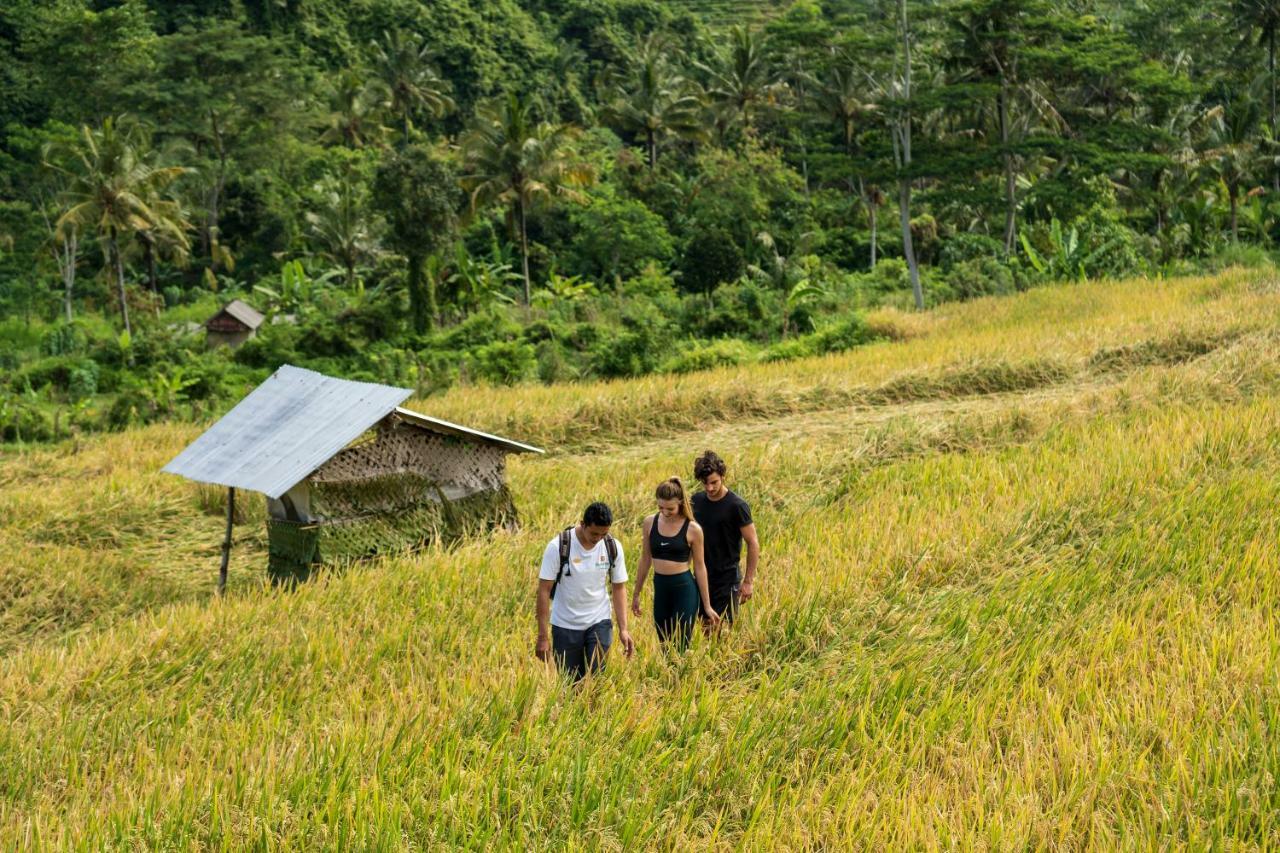 Wapa Di Ume Sidemen Hotel Sidemen  Exterior photo A rice field in Bali